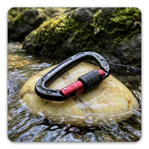 FresKaro Black 2pcs 4in Carabiners 25kN Screw Lock Climbing Gear, Lightweight