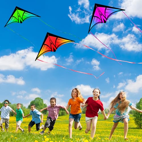3-Pack Delta Kites for Kids & Adults - Easy to Fly with Bright Gradient Colors