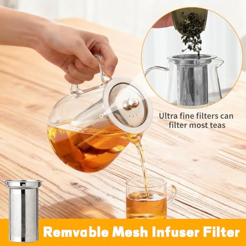 Borosilicate Glass Teapot with Stainless Steel Infuser - 550ML