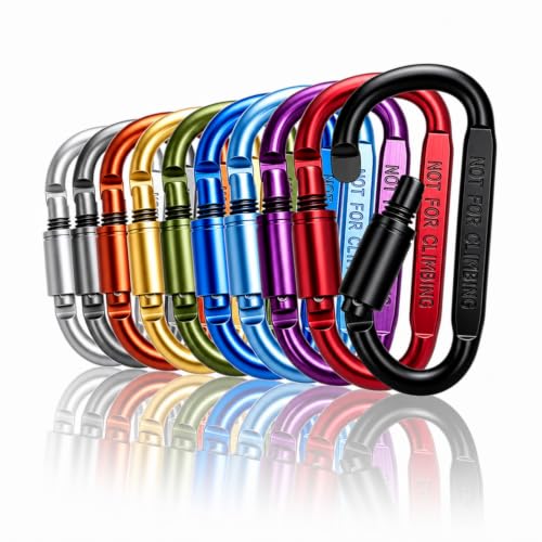 IEBUOBO Multicolor Locking Carabiner Clips 3 Inch Keychain Hooks - A-Multicolored 10 Pack
