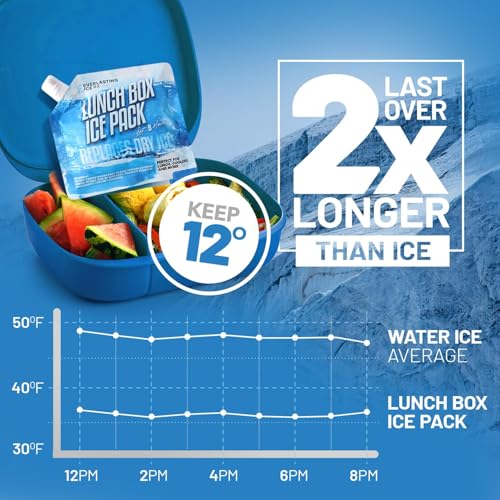 Everlasting Ice RX Reusable Packs for Cooler (4 Pack) Up to 48 Hours