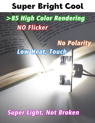 31mm Marine Led Festoon Bulb White, Boat Navigation Light DC12-24V