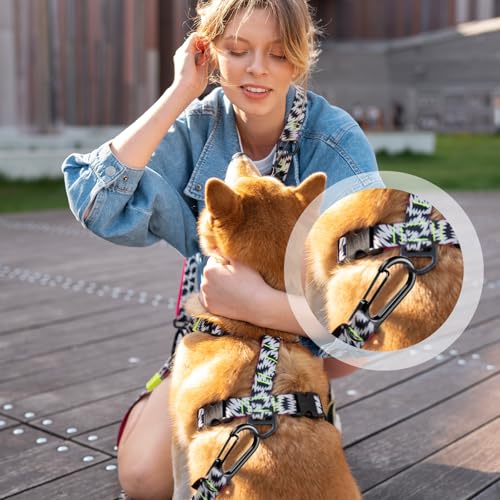 20 Pcs Mini Carabiner Clips - 1.2 Inch Zinc Alloy Keychains