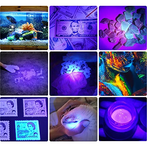 DARKBEAM 395nm USB UV Flashlight 2-Pack - Portable Blacklight for Pet Urine Detection & Identification