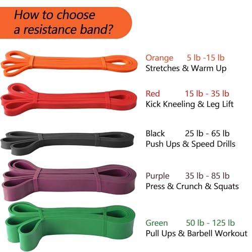 Light Resistance Exercise Bands for Strength Training - Orange (5-15lb)