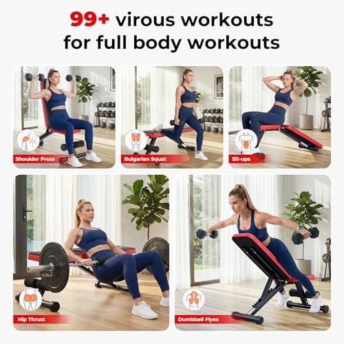 Adjustable Weight Bench for Home Gym - 660lb Capacity, XL