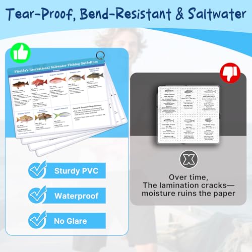 Florida Saltwater Fish & Shark Identification Set - Waterproof Guide Cards