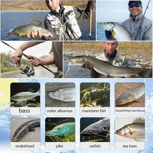 Topwater Fishing Lure with Rotating Tail for Bass, Pike & Catfish