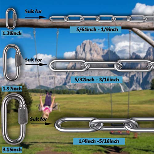 M3.5 Stainless Steel D Shape Locking Carabiner Keychain - 6 Pack