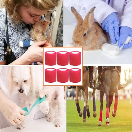 Self Adhesive Bandage Wrap - 6 Pack 2" x 5 Yards - Red