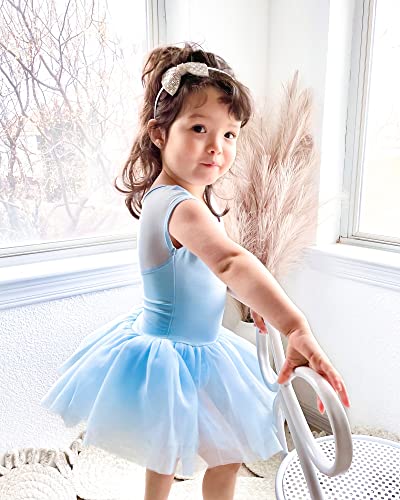 Stelle Girl Ballet Leotard with Tutu Skirt - 4-5T Blue Dance Costume