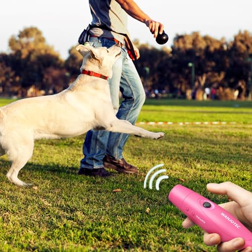 130dB Electric Whistle with Adjustable Tones for Coaches & Referees