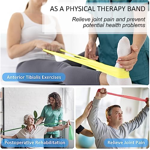 Resistance Bands Set for Physical Therapy and Yoga - 5 Levels