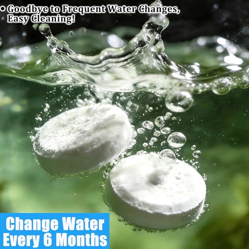 Water Purification Tablets for Rowing Machines - 8 Tablets