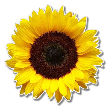 Sunflower Sticker - 2.5 Inch Outdoor Vinyl Decal