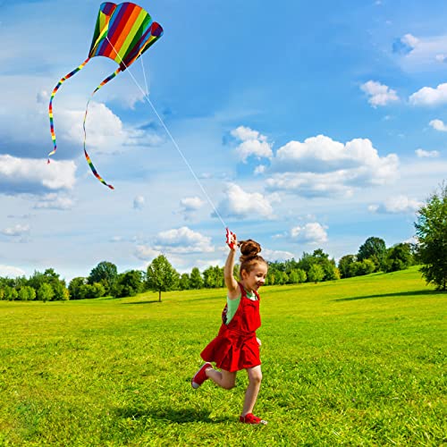 HENGDA Rainbow Parafoil Kite for Kids & Adults - with 700ft Reel String, Easy Fly, No Assembly, Beach Fun (Variation: rainbow kite)