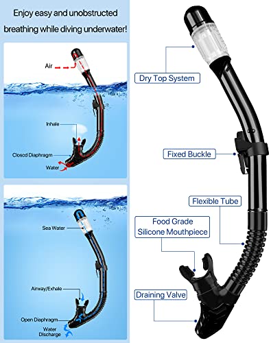 4-in-1 Snorkeling Gear Set for Adults - Mask, Snorkel & Fins - Black ML/XL