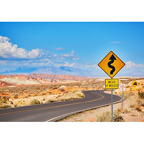 Scenic Landscape Wall Mural - Winding Road in Valley of Fire - 66x96 inches