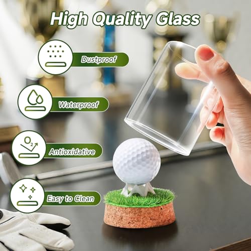 Rocalt Hole-In-One Golf Ball Display Case - Cork Base & Glass Cover (Golf Ball Display Case) brand