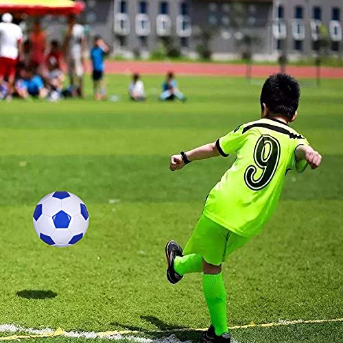 Soccer Ball Size 2,3,4,5 White Blue Outdoor and Indoor School Sports