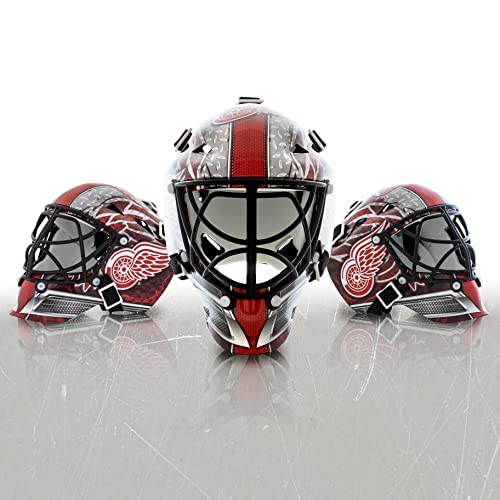 Detroit Red Wings Mini Hockey Goalie Mask with Display Case