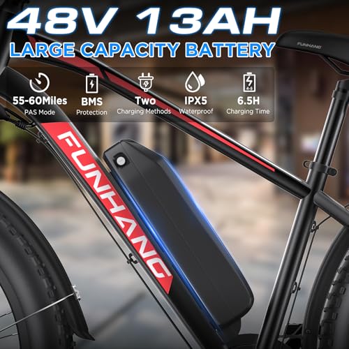 Electric Fat Bike for Adults - 1000W, 20MPH, 60 Miles - Black-Red