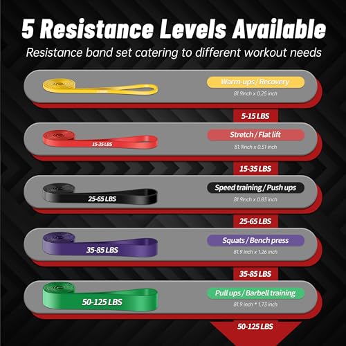 5-Level Resistance Bands Set for Full-Body Workout, 5-125 LBS