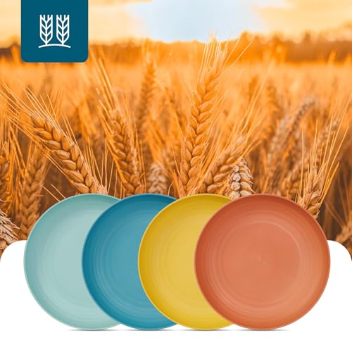 Luckore 9 Inch Wheat Straw Plates, Deep Dinner Plates Set of 12