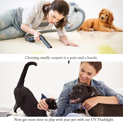UV Flashlight Pet Stain Detector - Mini Handheld Black Light