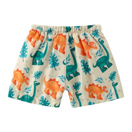 Boys Toddler Swim Trunks - Dinosaurs Print, UPF50+