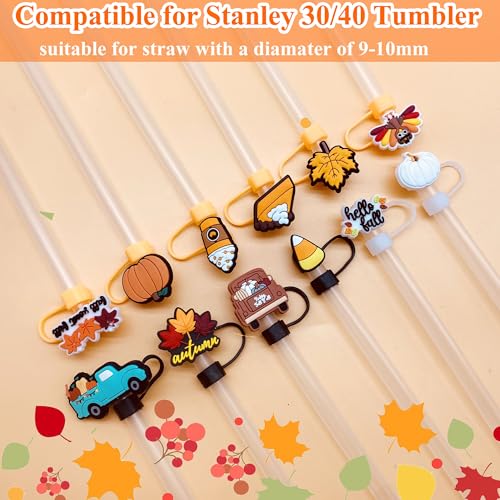 12pcs Fall Straw Toppers - Thanksgiving Silicone Covers for 10mm Straws