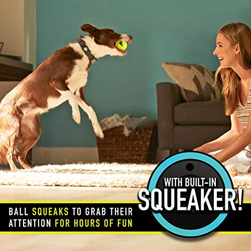Squeaker Tennis Ball Dog Toy - Pack of 3 Standard 2.7" Yellow
