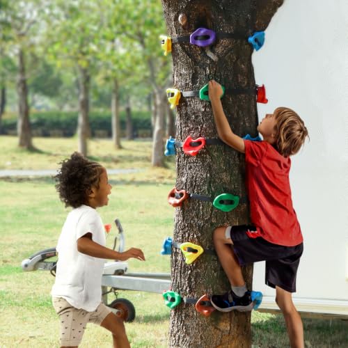 12 Ninja Tree Climbing Holds for Kids - Multicolor Set with Ratchet Straps