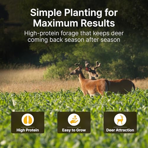No Till Alfalfa Food Plot Seeds for Deer - 1/4 Acre (5 lbs) - Perennial, Heavy Browsing Tolerance