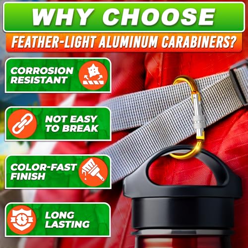 10 Pcs 3-Inch Aluminum Locking Carabiner Clips - Multicolor