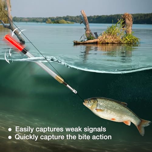 20-Piece Fishing Float Set, 5 Sizes 11-19cm High-Sensitivity Waggler Floats