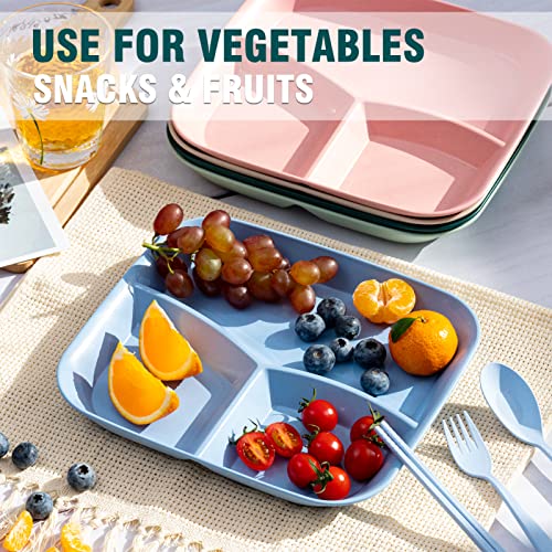 Colorful Square Unbreakable Divided Plates 10 Inch - 5 pcs Kids & Adults