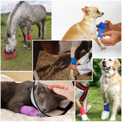 12-Pack Self-Adhesive Bandage Wraps, 2-Inch x 5-Yard Skin Color Tape