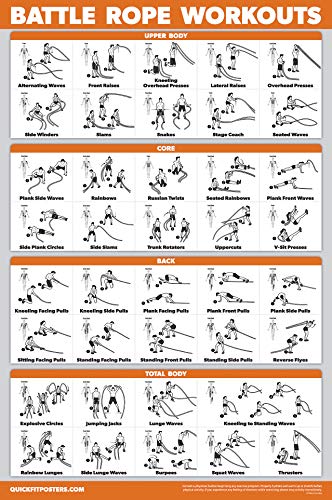 Exercise Poster Set - 20 Laminated Workout Posters (18" x 24")