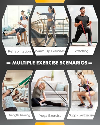 Equipro Resistance Bands Set with Handles, Door Anchor & Sleeve – 5 Bands for Home Workout