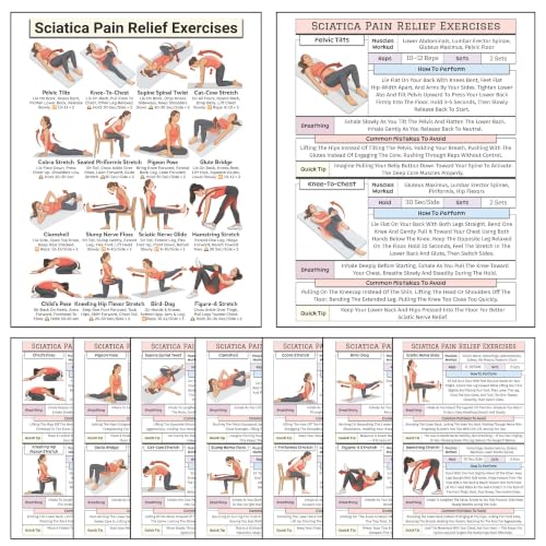 Sciatica Pain Relief Exercise Chart - Home Stretching Poster