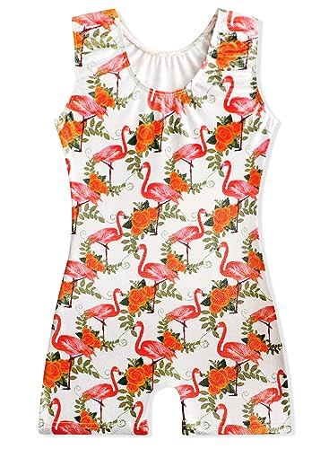 Sparkly Gymnastics Leotard for Toddler Girls - Red Flamingo, 2-3T