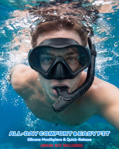 Dry Snorkel for Adults with Adjustable Mask Clip - Black