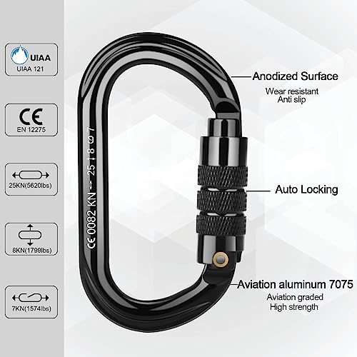 FVW CE Certified Auto Locking Carabiner 25kN 5620lbs Large D-Shaped Black