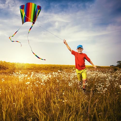Easy Flyer Kite with Long Tail and String - Style 4
