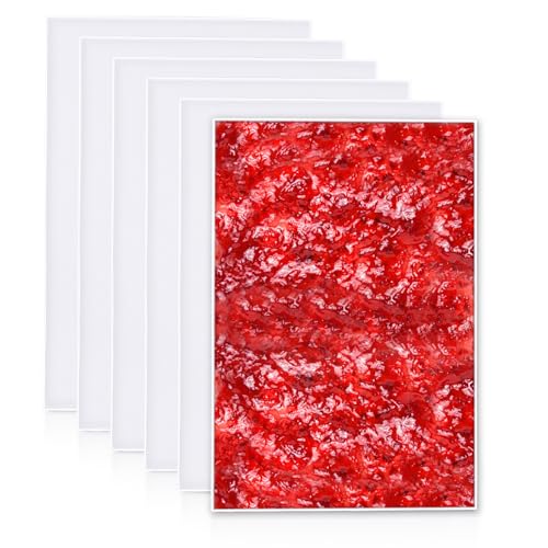 SUCISENI 6 Pack Silicone Dehydrator Trays 10.6 x 7.5 Inches with Edge for Food Drying