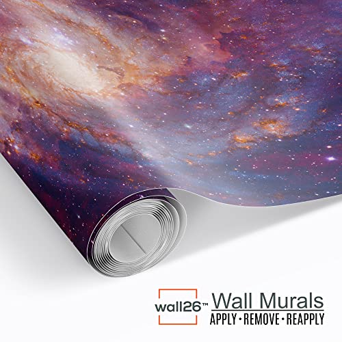 Scenic Landscape Wall Mural - Winding Road in Valley of Fire - 66x96 inches