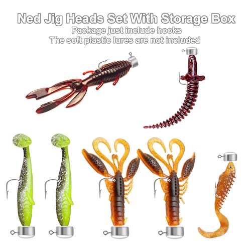 Ned Rig Jig Heads Set - 40 Pieces with Classic Mushroom Design