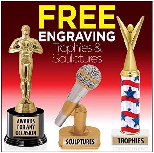 Crown Awards 3.75" x 5.5" Loser Skunk Sculpture Trophy - Last Place Trophies Prime