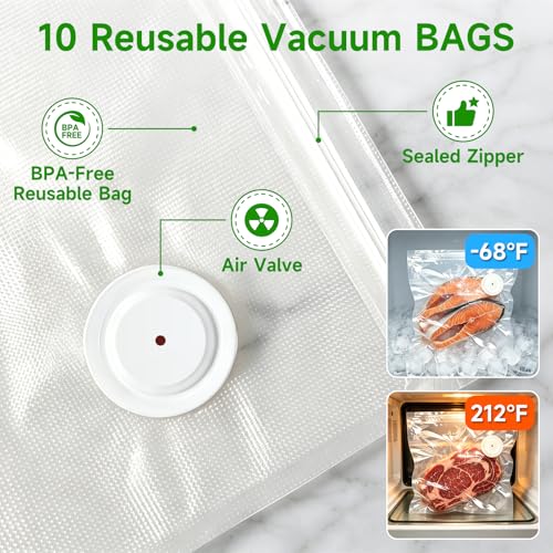 Compact Handheld Food Vacuum Sealer with 10 Reusable Bags - Black